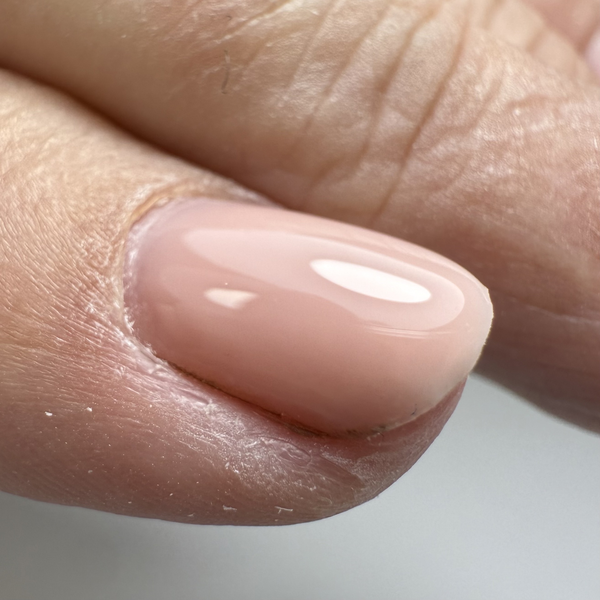 CANNI HEMA FREE Quick Builder Gel - 9 ml - X22 Warm Beige